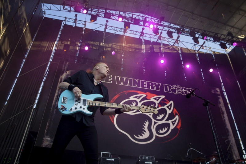 Winery Dogs